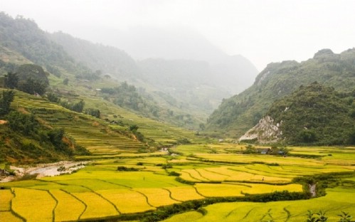 Highlights of Sapa 3 Days 2 Nights by Day Bus (1 Night at Homestay, 1 Night at Hotel)